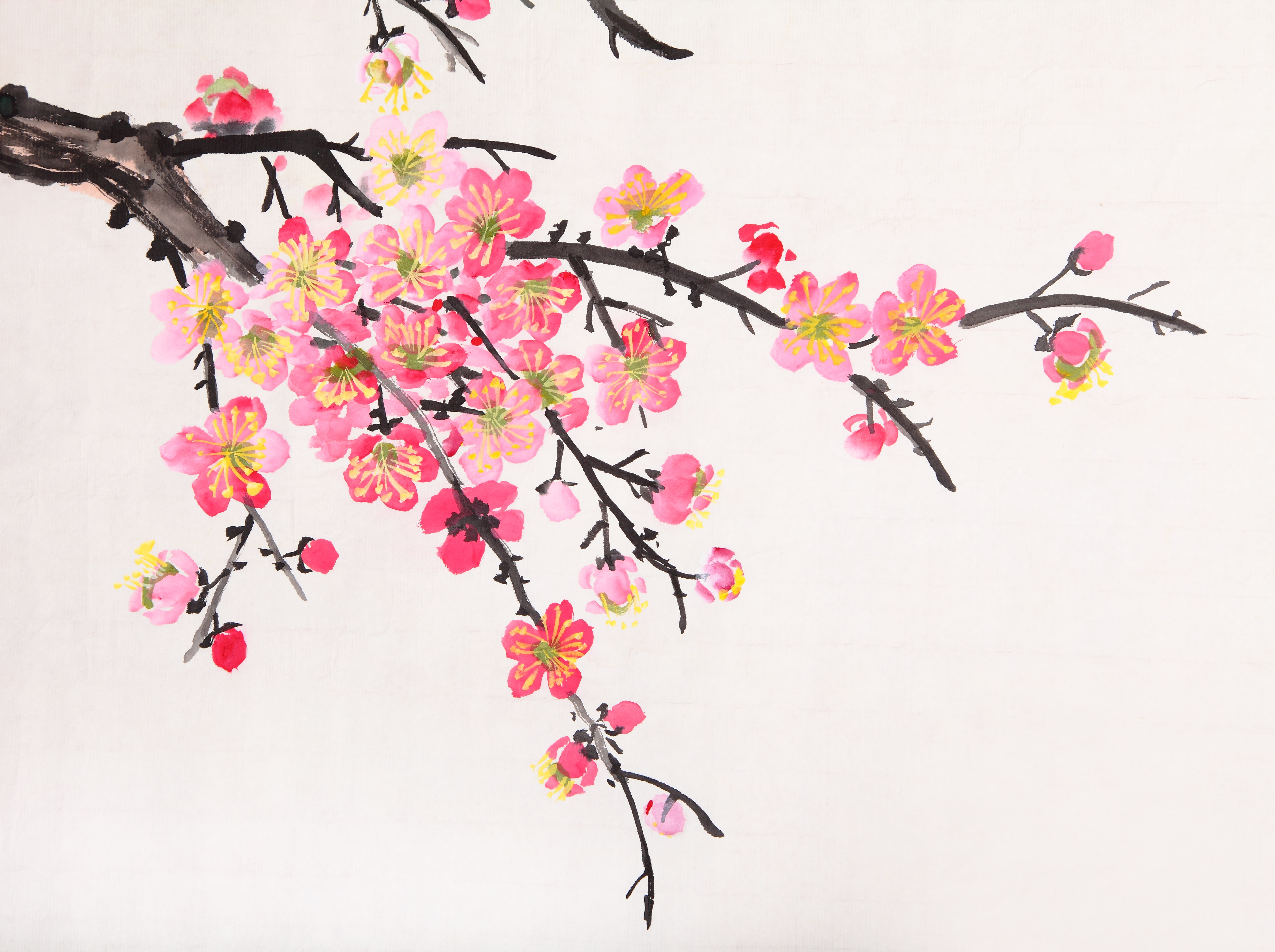 Chinese painting of flowers, plum blossom Custom Wallpaper