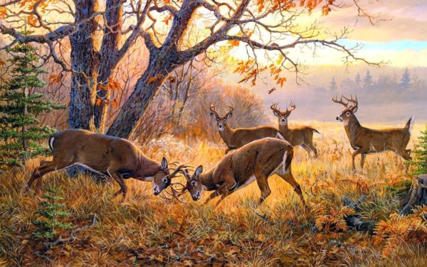 1920x1200_deers_in_autumn-1224961