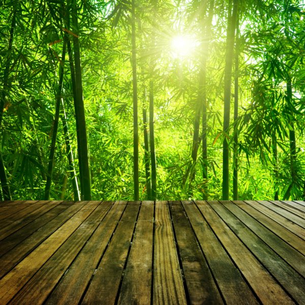 Wooden platform and Asian Bamboo forest with morning sunlight.