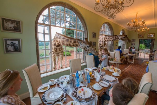 giraffe manor kenya 2