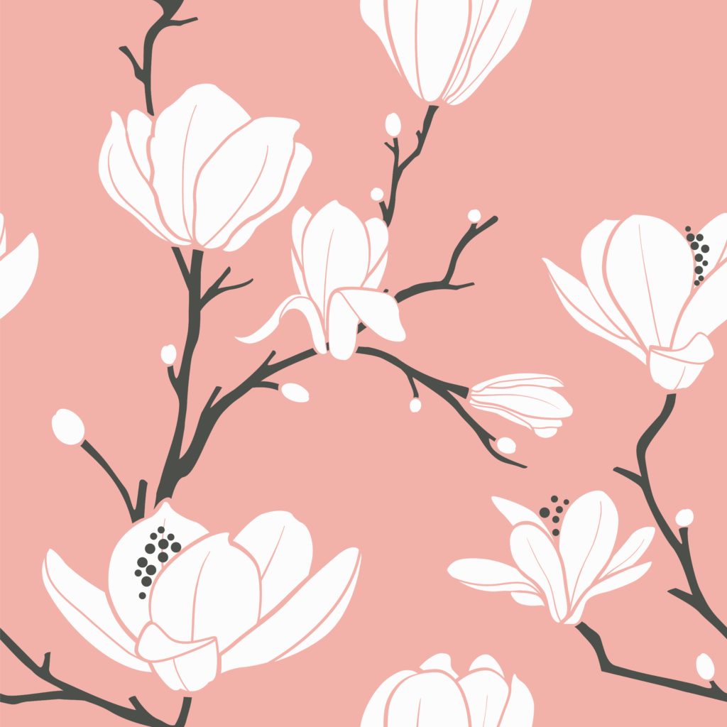 Pink Background with White Magnolias